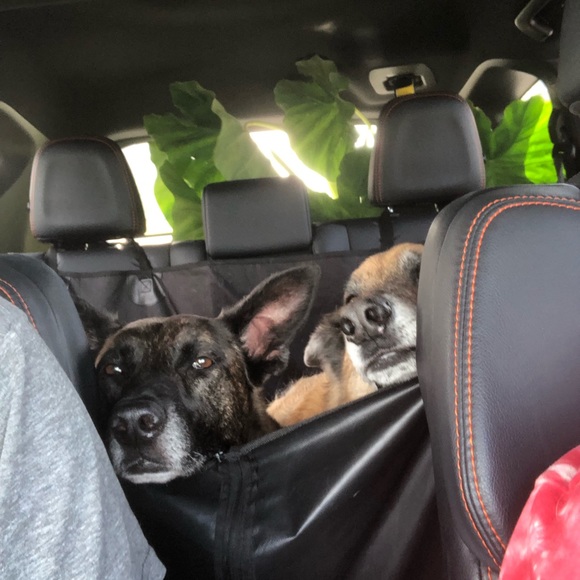 Meet your Posher, Alexandra - Picture 1 of 1